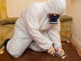 Comprehensive Asbestos Surveys by Skilled Professionals