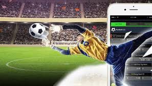 Online Football Betting for Beginners: Expert Insights Backed by Statistics