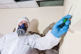 Asbestos Testing – High-Quality Testing for Accurate Identification