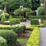 Preventing Risks: Tree Care Services for Safety and Aesthetics